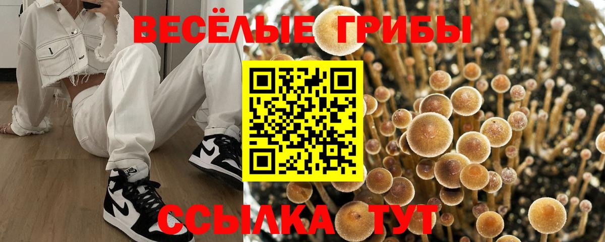 Галлюциногенные грибы Magic Shrooms Дубна